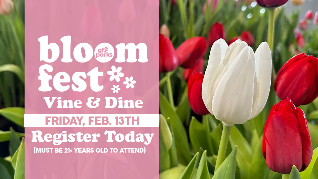 homeslide slides_bloomfest_date night_2026