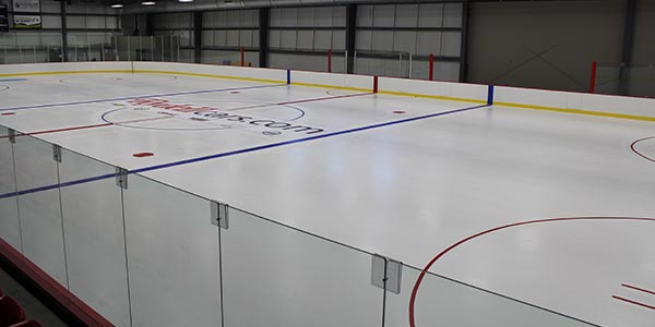 ICON-SC-rydell-rink1